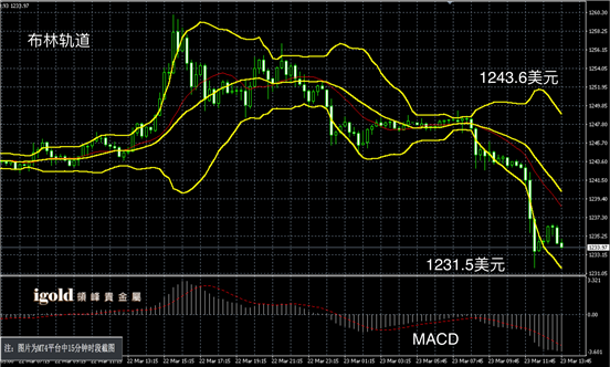 说明: Macintosh HD:Users:Michael:Library:Mobile Documents:com~apple~CloudDocs:Igold:2016:3月:午评:2016-03-23 午评 - 黄金图解.png